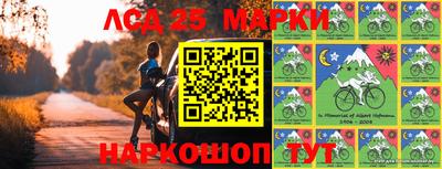 гидропоника Будённовск