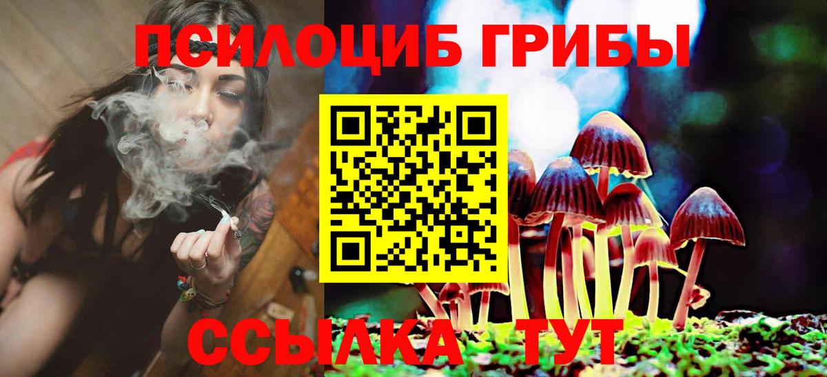 Псилоцибиновые грибы мухоморы Новоалтайск